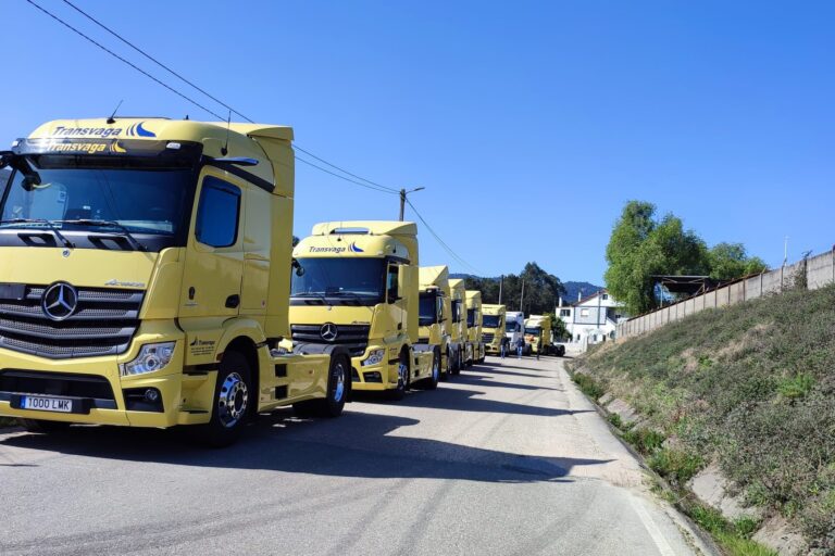 servicio transporte cabezas tractoras