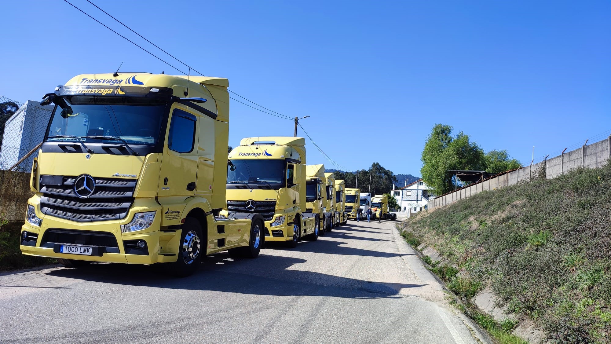 servicio transporte cabezas tractoras